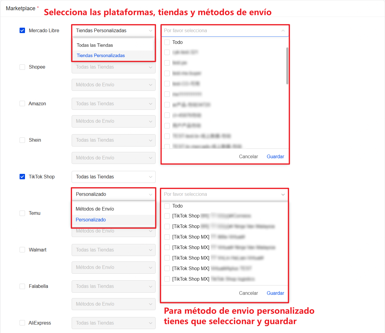 Selecciona las plataformas, tiendas y métodos de envío que quieres organizar automáticamente. 