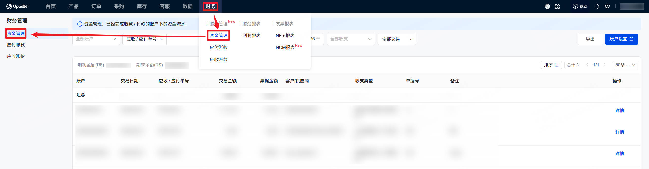 查看资金流水入口
