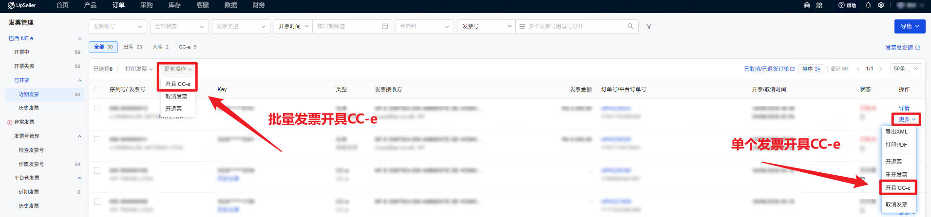 单个发票开具CC-e入口和批量发票开具CC-e入口