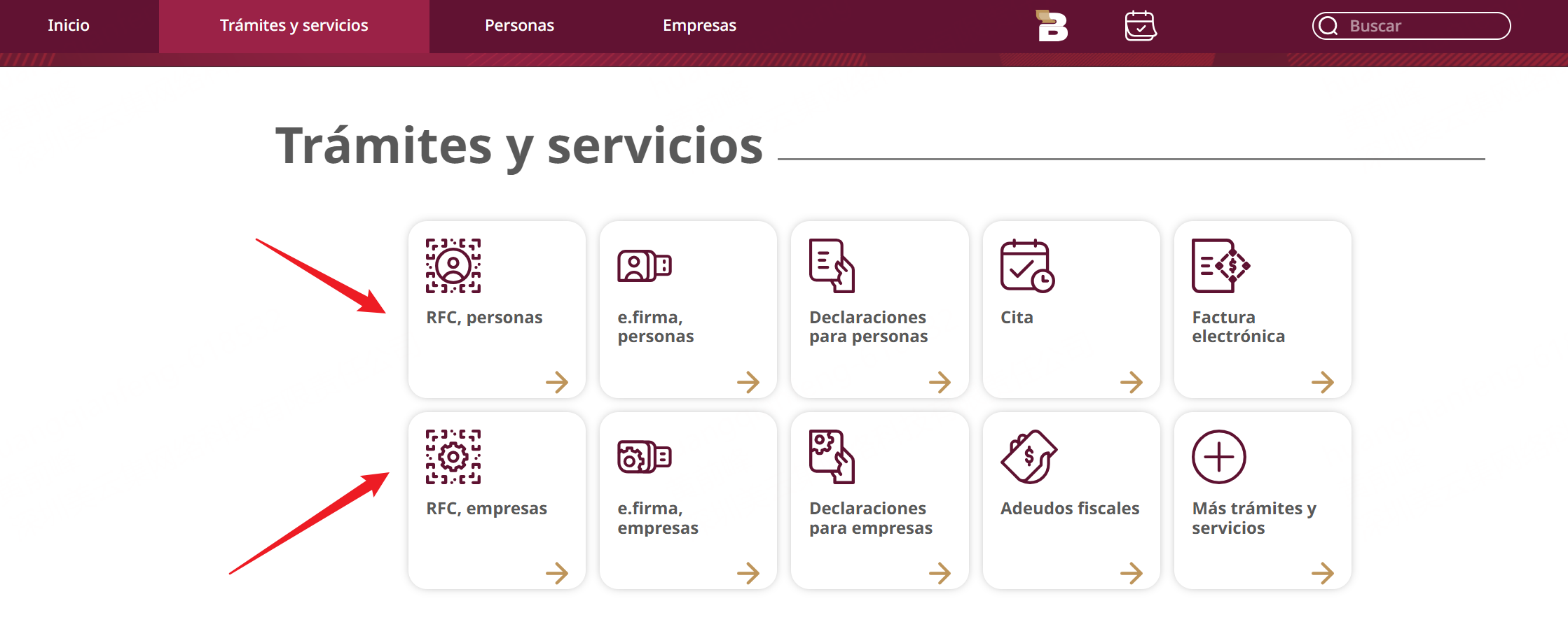tipo de contribuyente