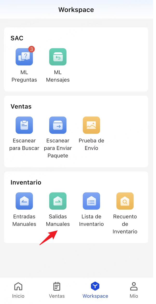 Entrada de Salidas Manuales