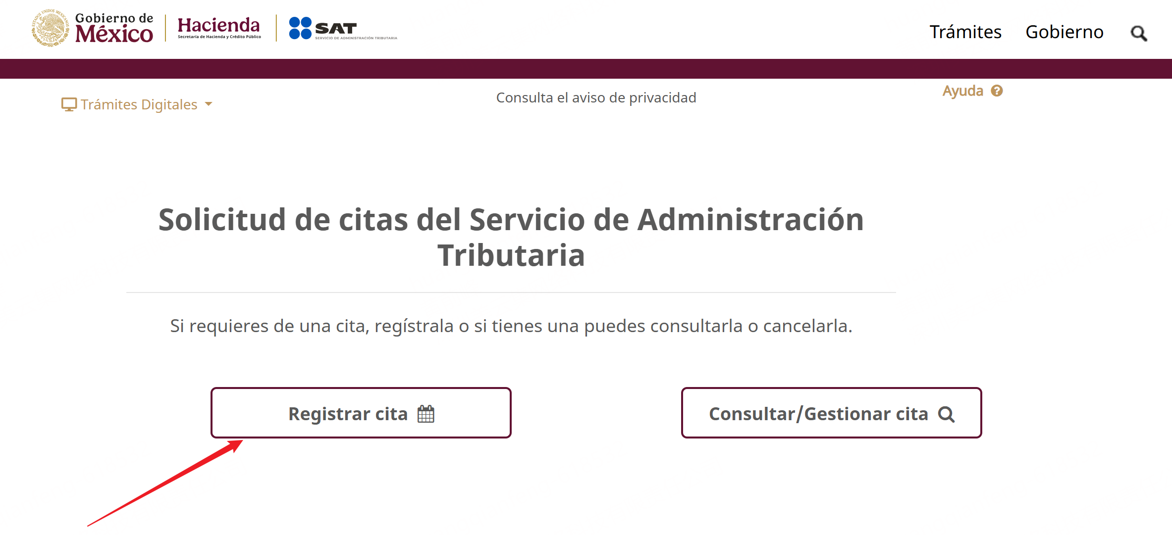 Registrar cita SAT