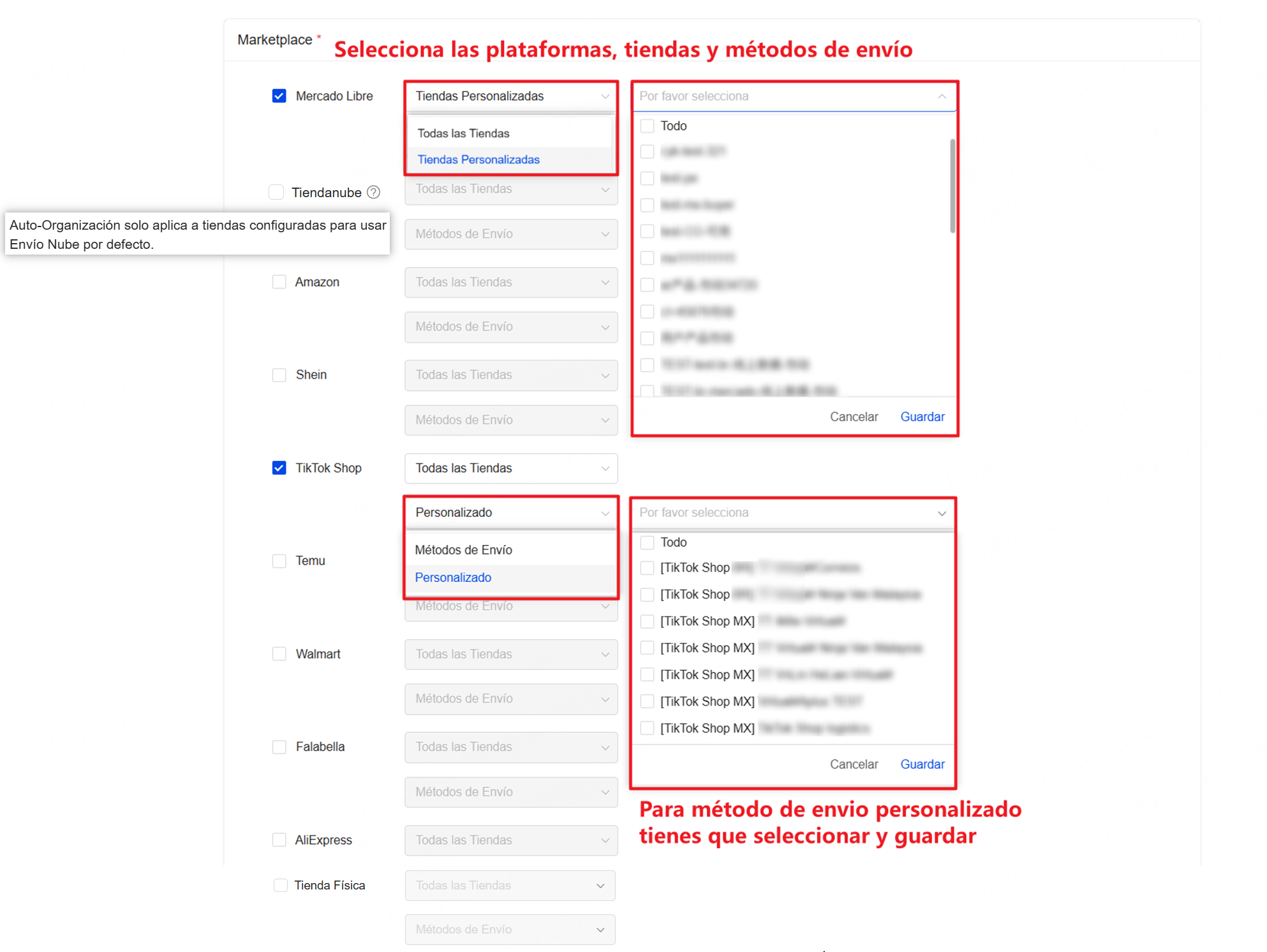 Selecciona las plataformas, tiendas y métodos de envío para auto organizar 