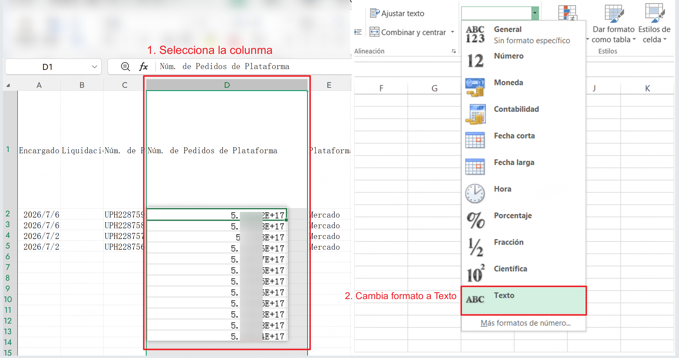 cambia el formato de las celdas de la columna  de General a Texto