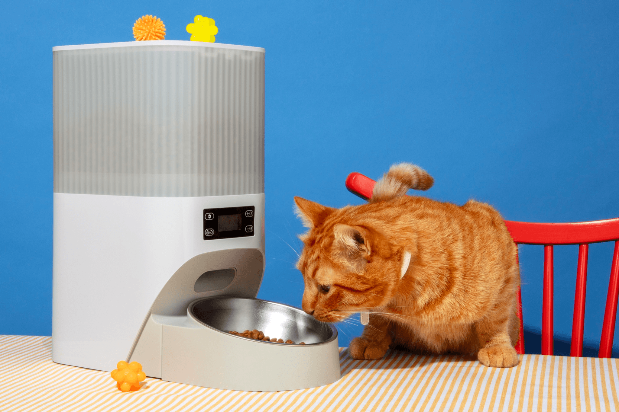Fuentes de agua inteligentes para mascotas