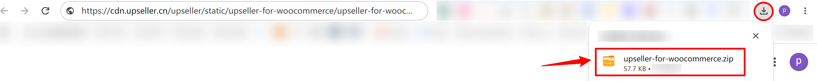 Descarga la extensión de UpSeller para WooCommerce